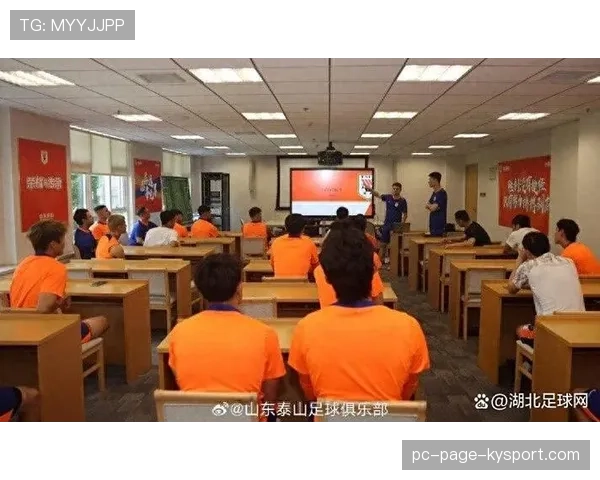 青训教师国际交流回访报告与教学改进建议，青训教师国际交流回访报告与教学改进建议怎么写